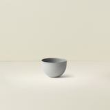 Sugar Bowl