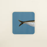 Heads & Tails Fish Coasters, Set/4