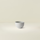 Sugar Bowl