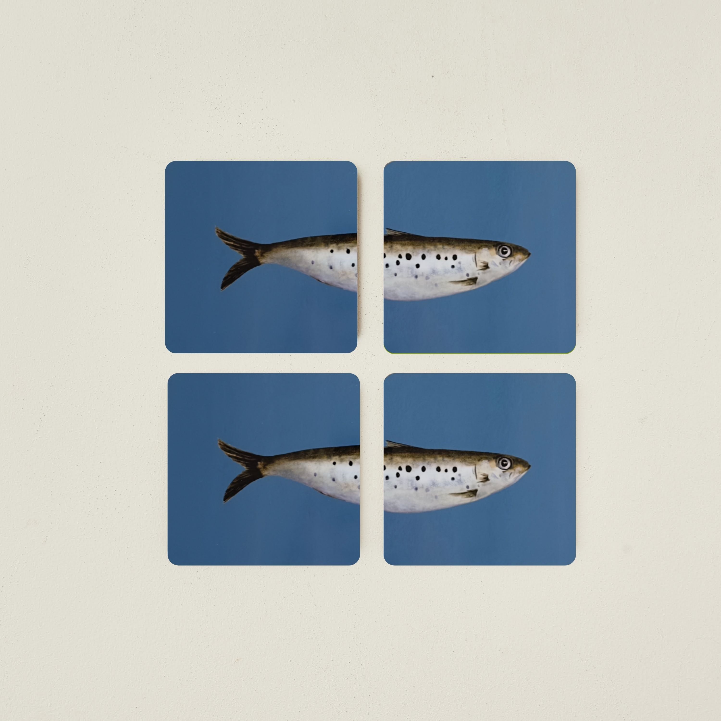 Heads & Tails Fish Coasters, Set/4