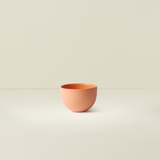 Sugar Bowl