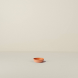 Pickle Dish