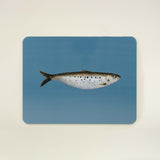 Set of 2 Fish Placemats