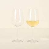 Jancis Robinson Precision Wine Glass, Set/2