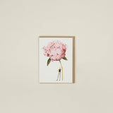 Pink Peony Greeting Card