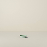 Pickle Dish