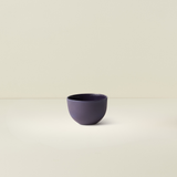 Sugar Bowl