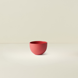 Sugar Bowl