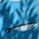 Set of 2 Fish Placemats