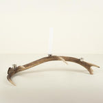 Stag Antler Candelabra