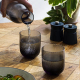 Set of 2 Optic Smoke Tumblers