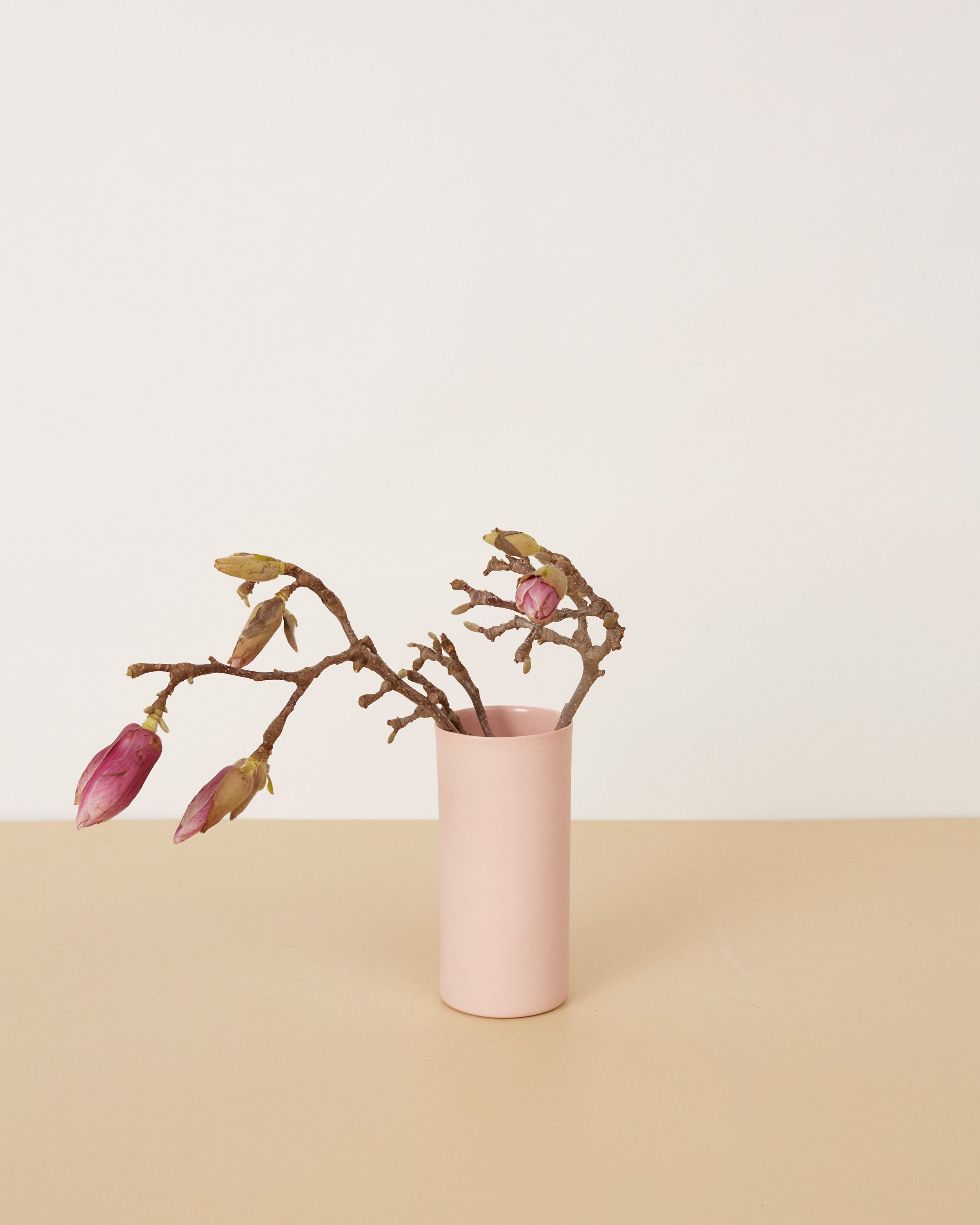 Pink vase with dried branches and pink buds on a beige background
