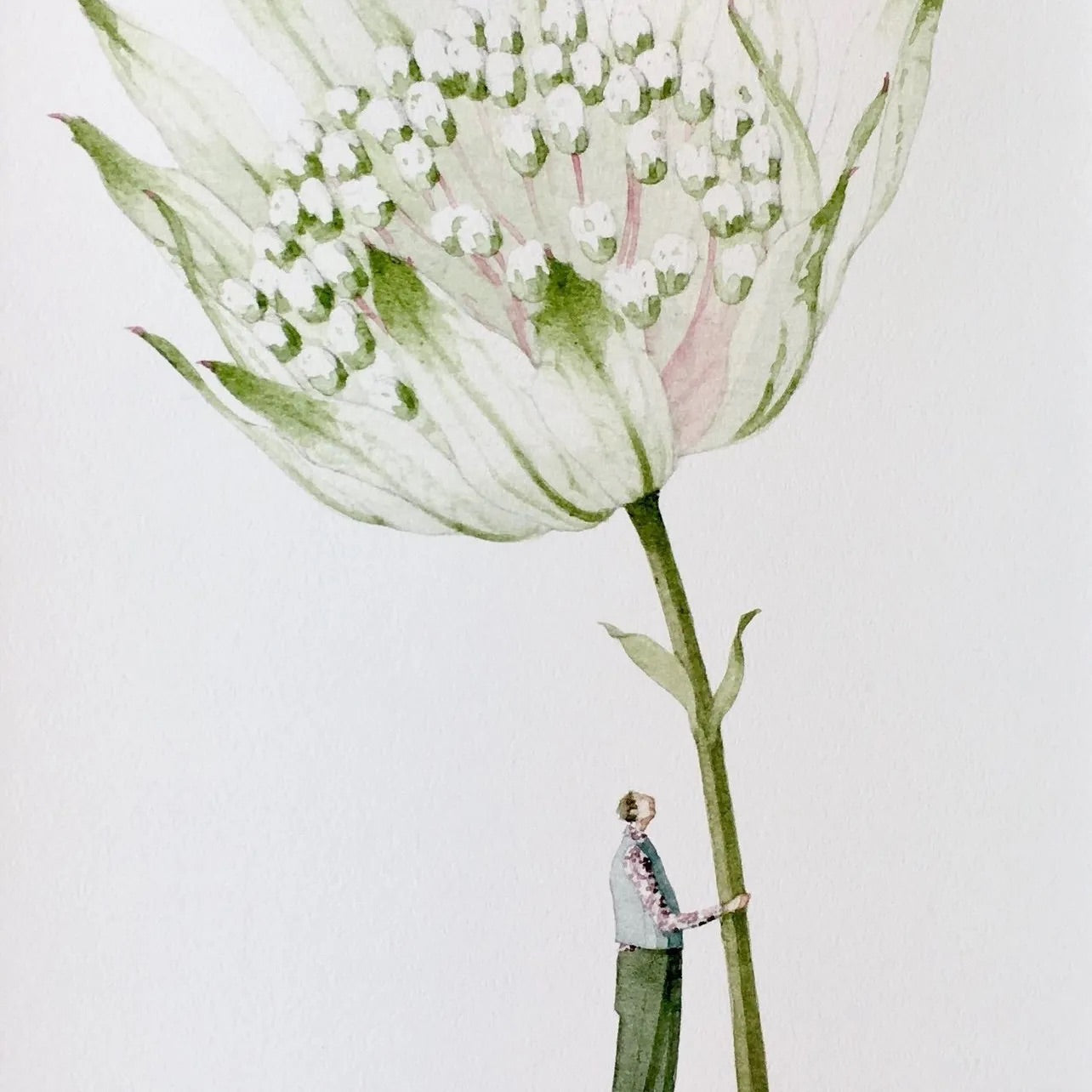 Laura Stoddart