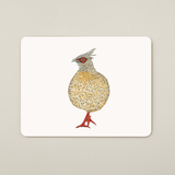 Illustration of a bird with a white background