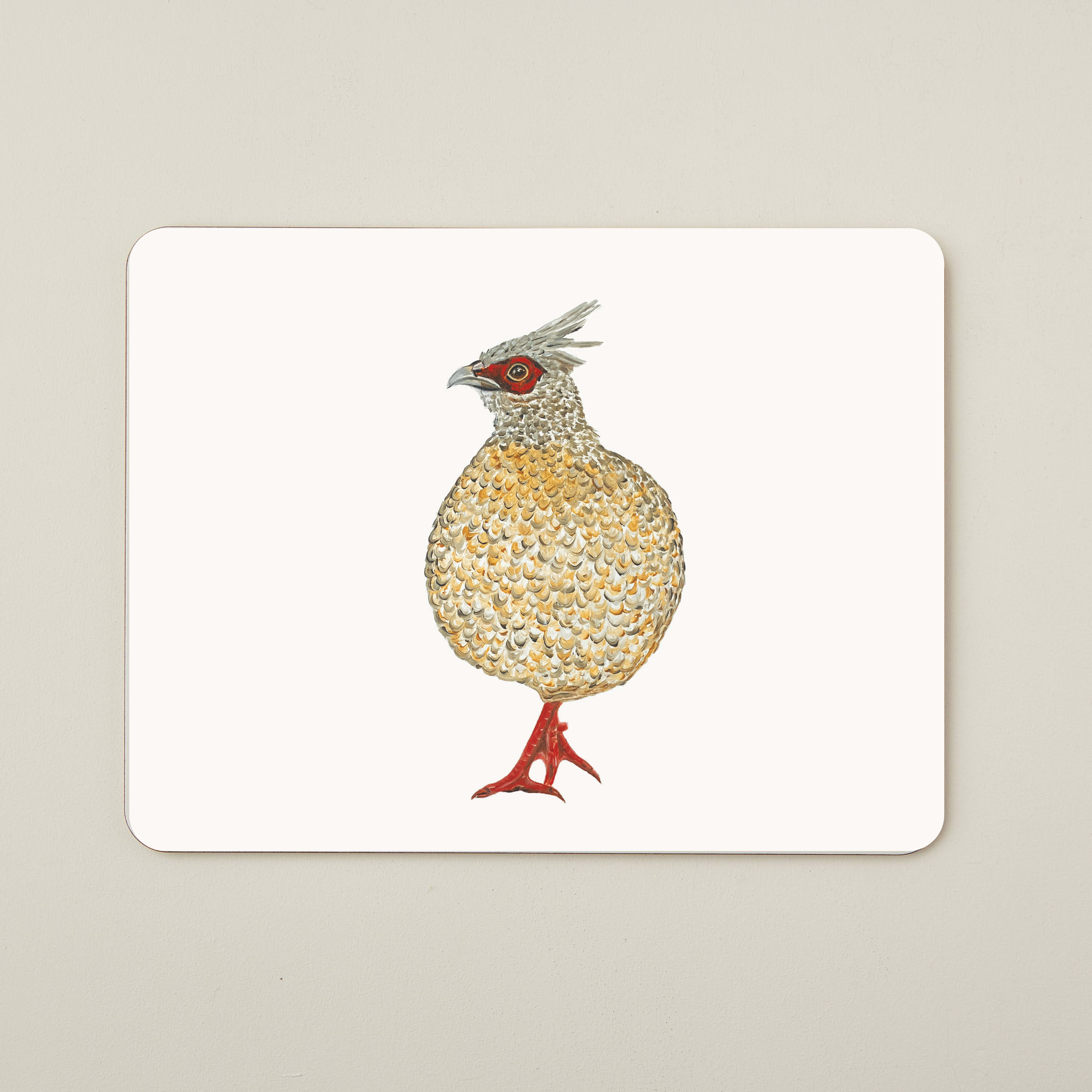 Illustration of a bird with a white background