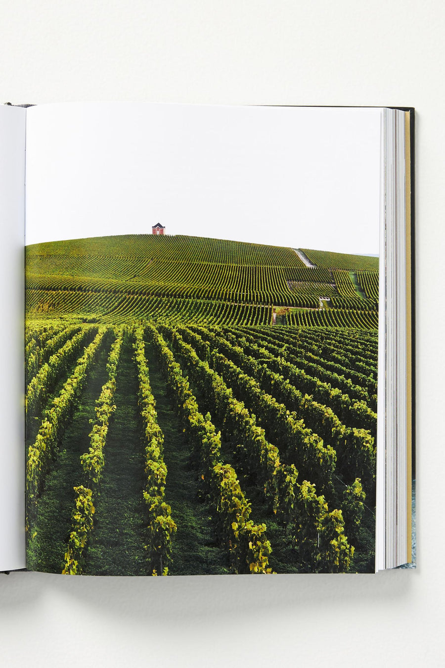 Champagne Boxed Book and Map Set