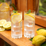 Riedel Highball, Set of 2