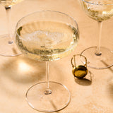 Cocktail glass with bubbly drink on a textured surface