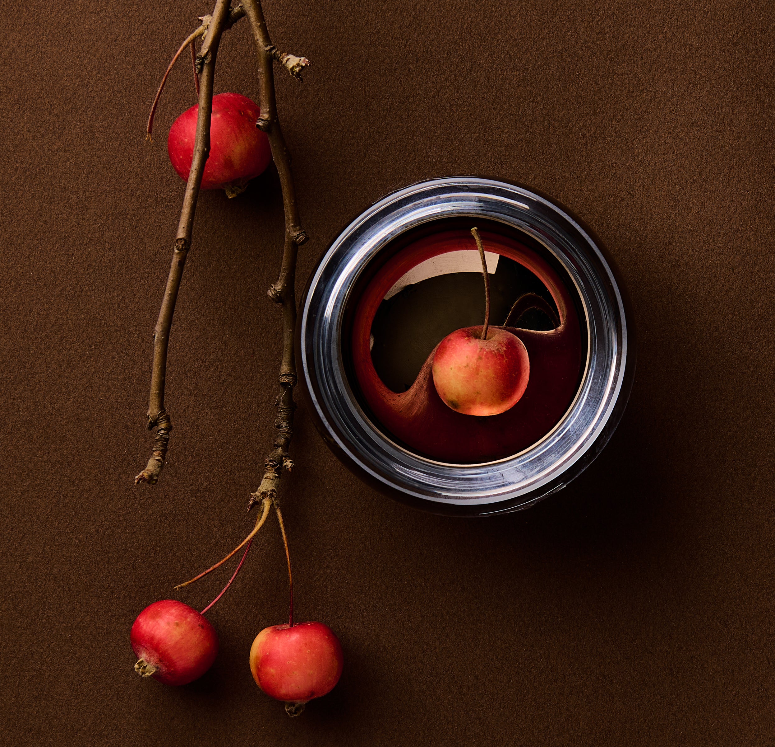 Red apples and a branch with a metal can on a brown background