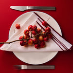 White plate with red berries, silver knife, and fork on a red background