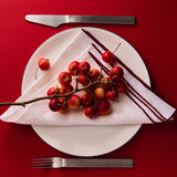White plate with red berries, silver knife, and fork on a red background
