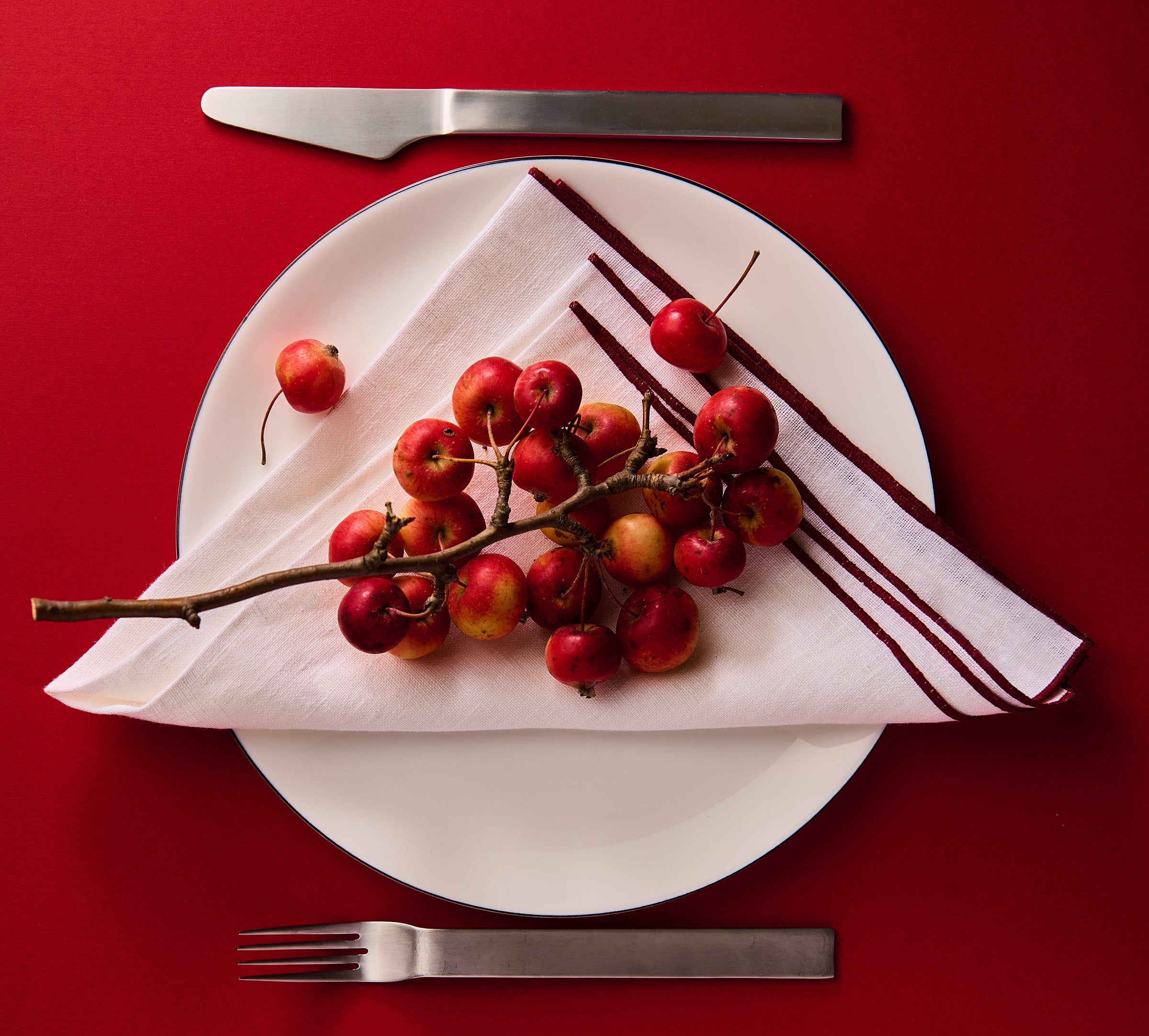 White plate with red berries, silver knife, and fork on a red background