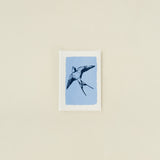 Blue Foil Swallow