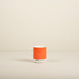 British Standard Mug, Light Orange