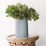 Bottle Vase Oval