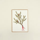 Christmas Card - Spruce