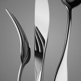 Concorde 20 Piece Flatware Set