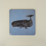 Illustration of a whale on a blue square background