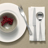 Liner Stainless Steel 5-Piece Place Setting