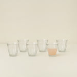 Small 250 ml Picardie Tumbler, Set of 6