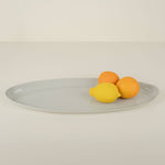 Fish PLatter Dust