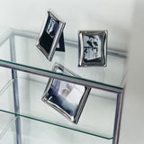 Cobra Picture Frame