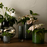 Cylinder Vase & Votive, Grass