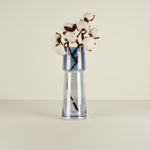 Clear glass vase with cotton branches on a beige background