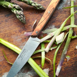 Le P'tit Tradi Olivewood Knife