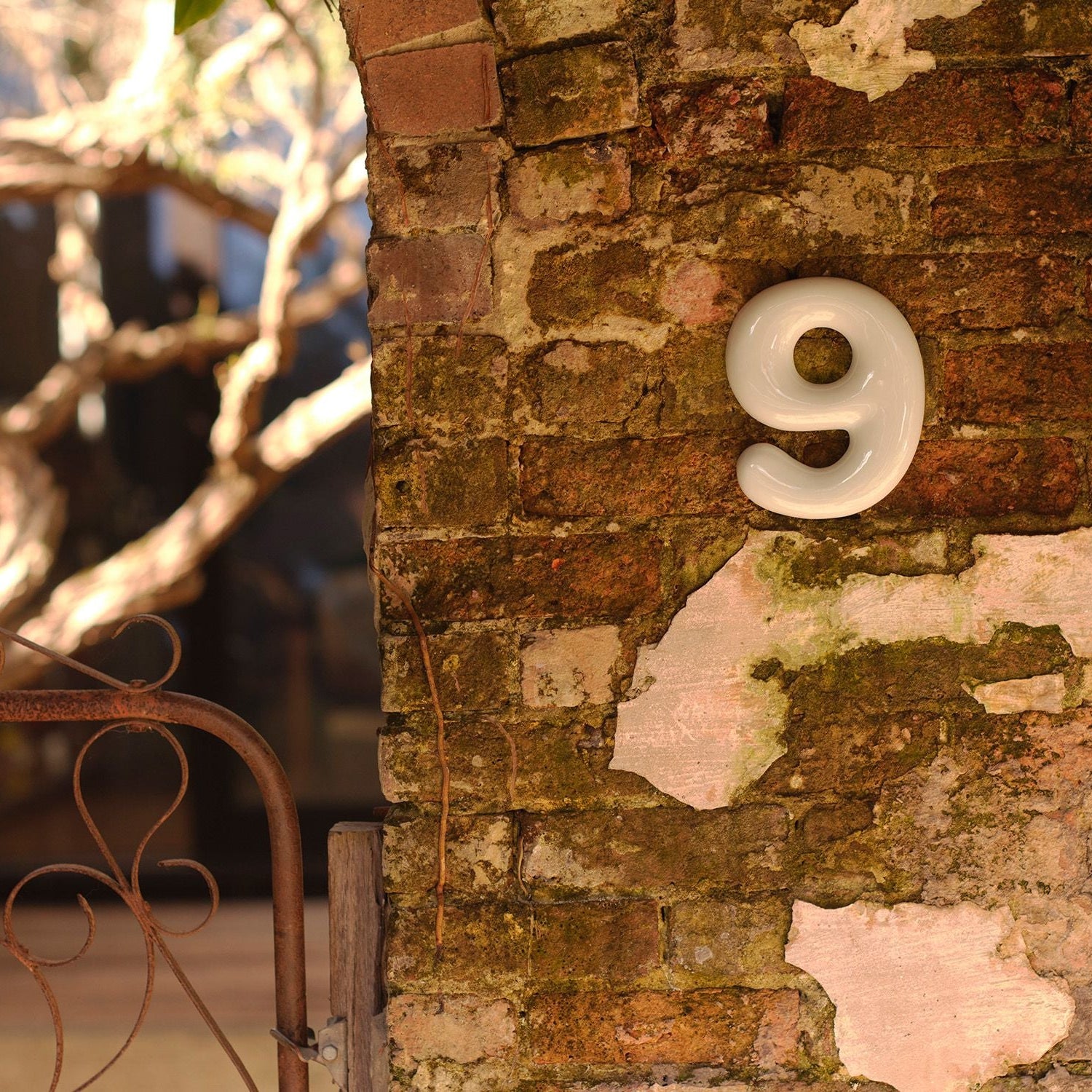 Mud Australia House Number in Citrus