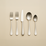 Paris Stainless Steel 5-Piece Place Setting