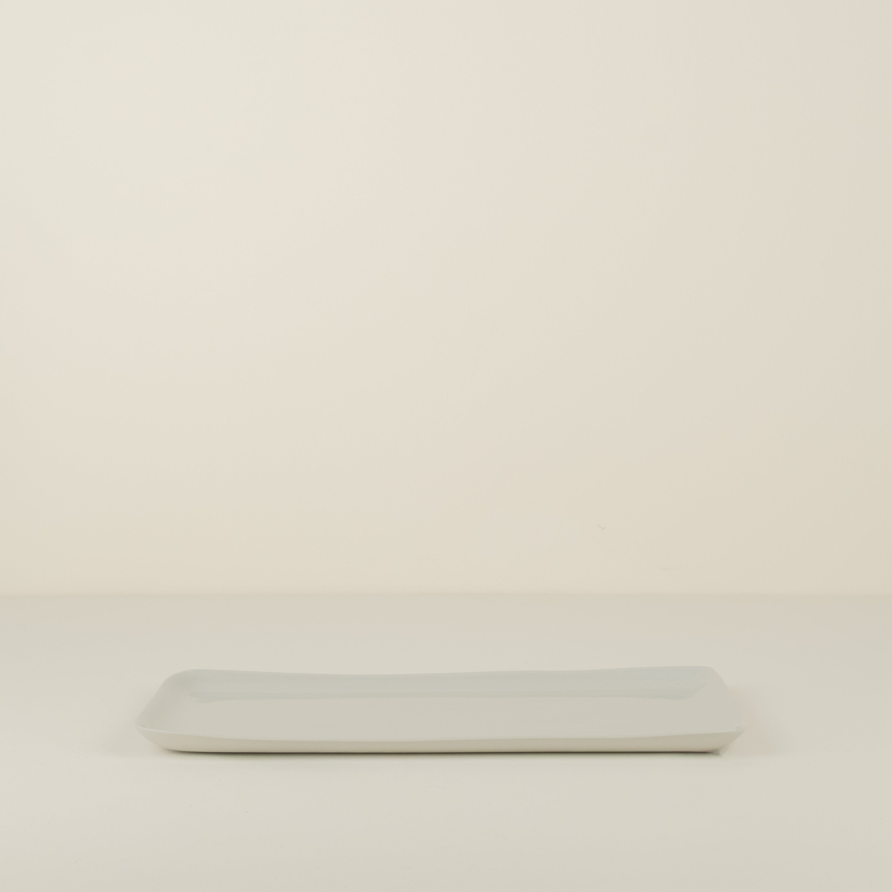 Platter, Dust
