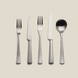Liner Stainless Steel 5-Piece Place Setting