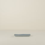 strip platter steel