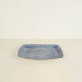 Plain Wash Chicken Dish Blue