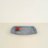 Plain Wash Chicken Dish Blue