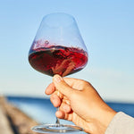 Zalto  Burgundy Wine Glass
