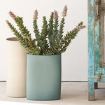 Bottle oval vase