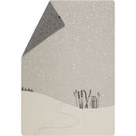 throw with skis and toboggan