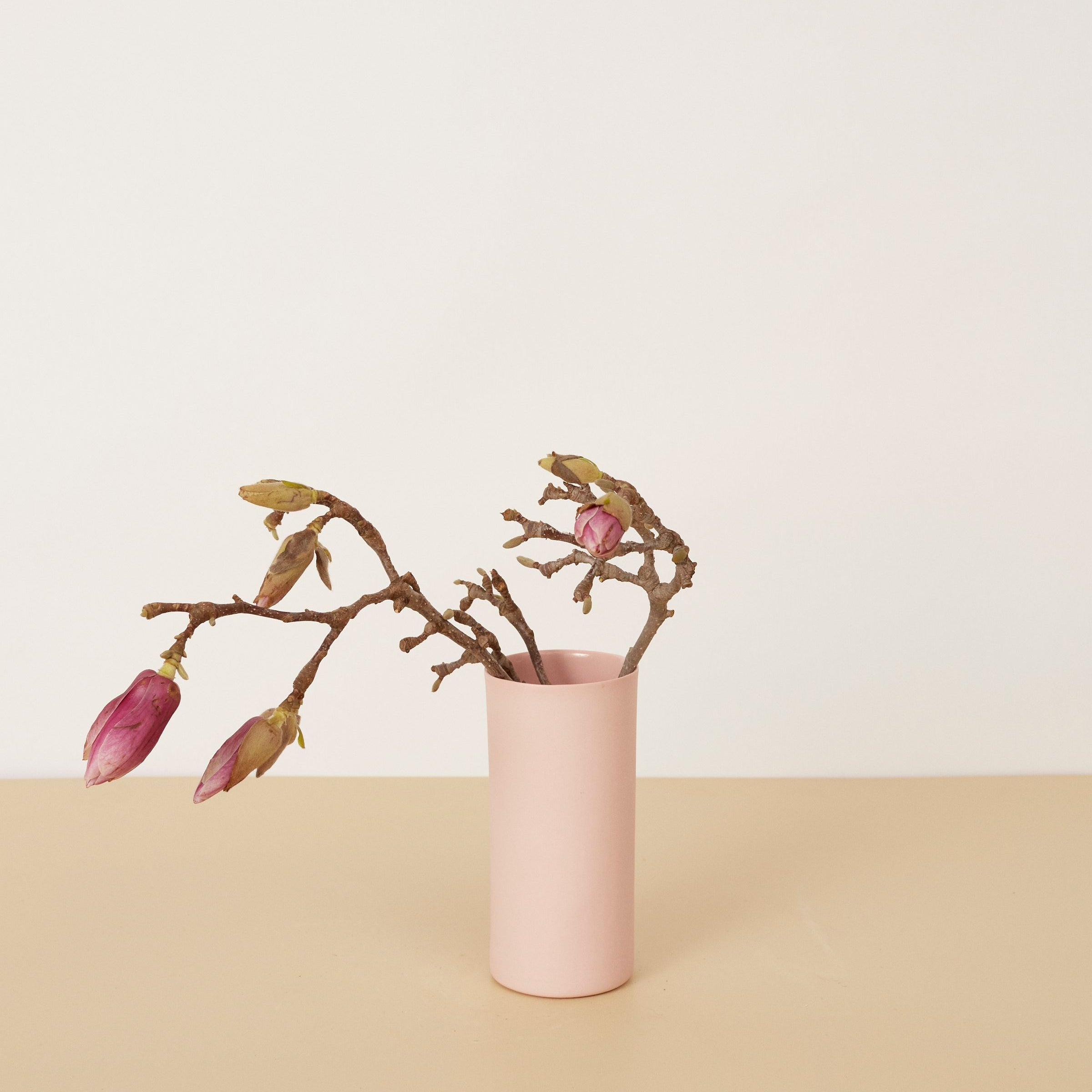 Pink vase with dried branches and pink buds on a beige background
